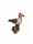 Maritime Möwe auf Poller aus Polyresin 15 cm Dekofigur